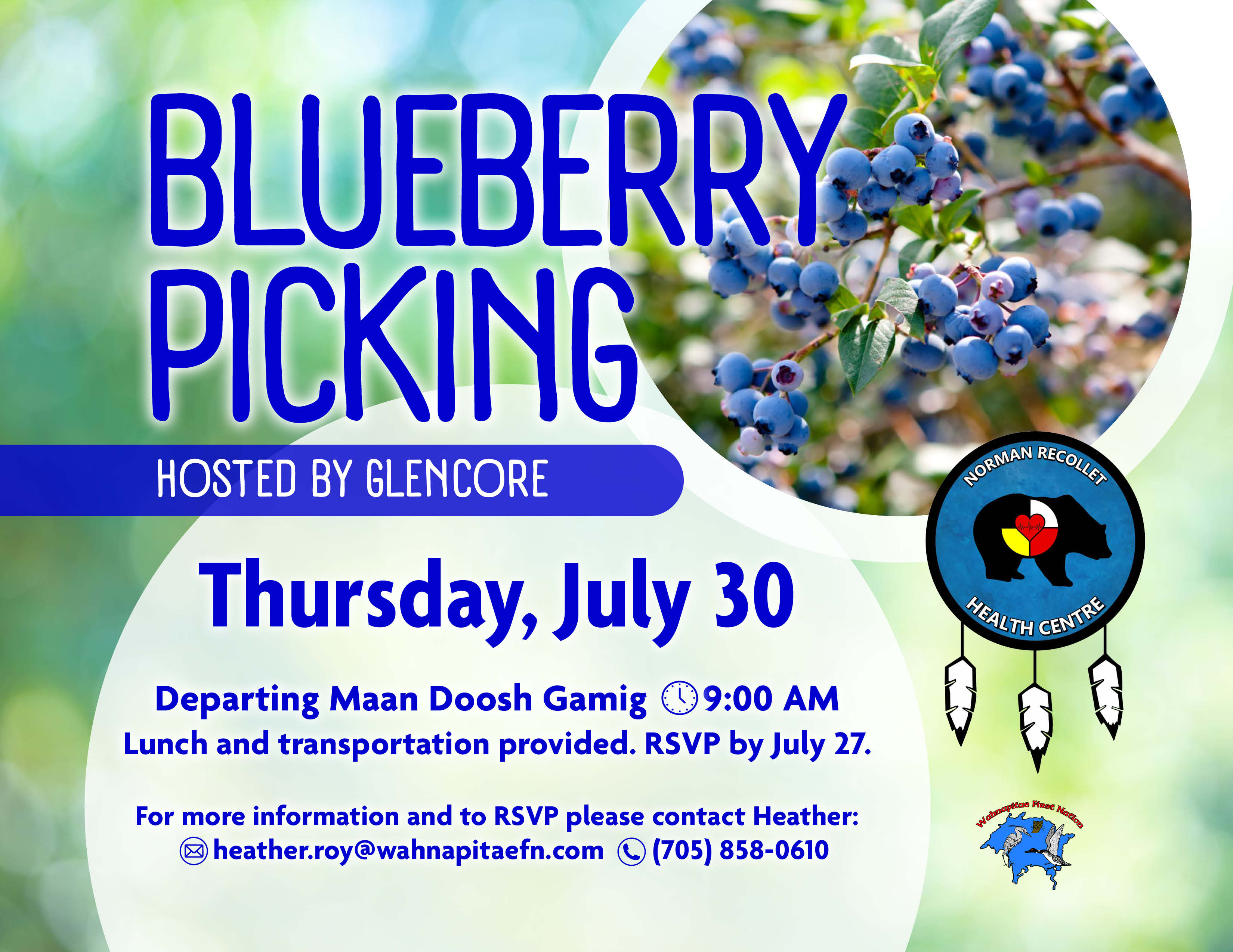 Blueberry Picking