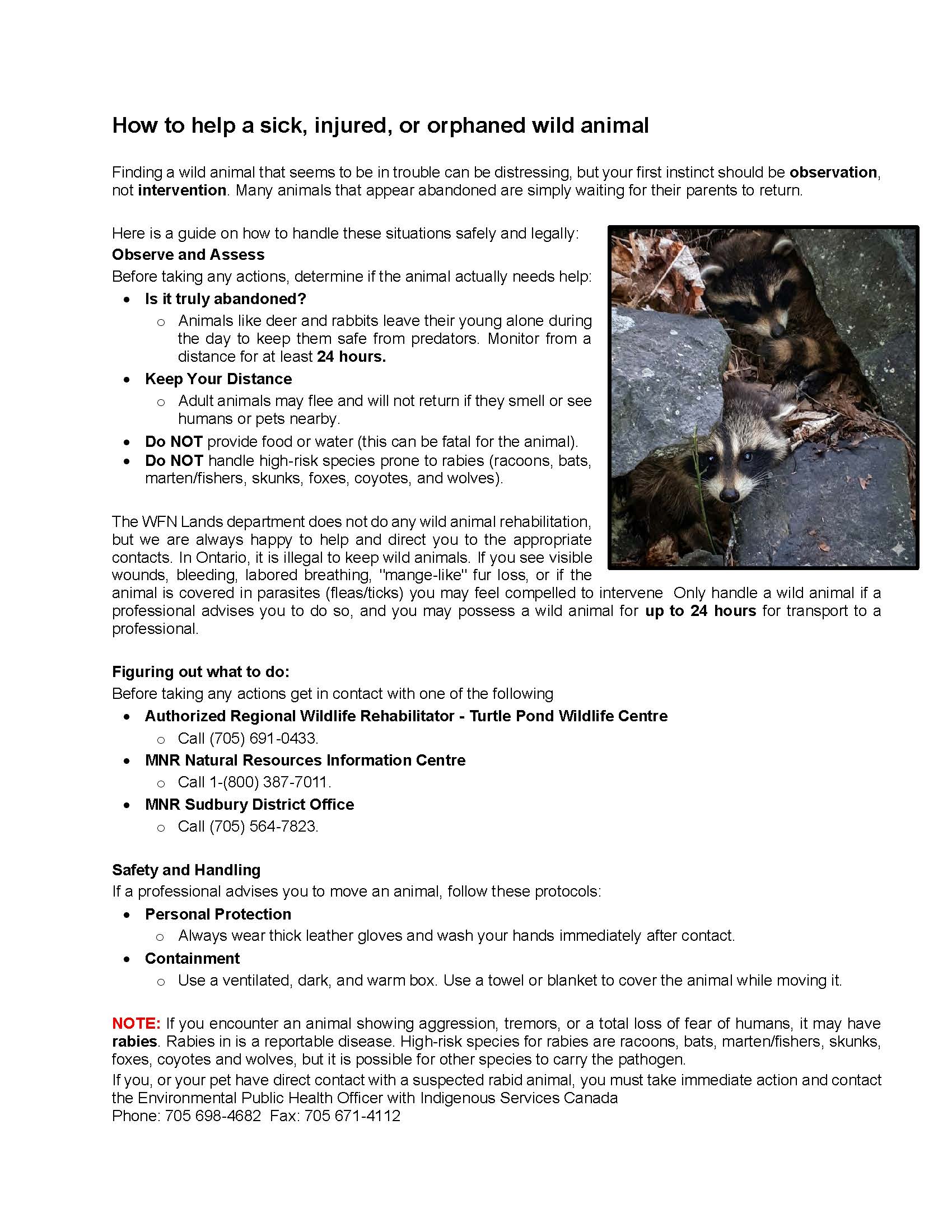 Wild Animal Encounter Poster 042026