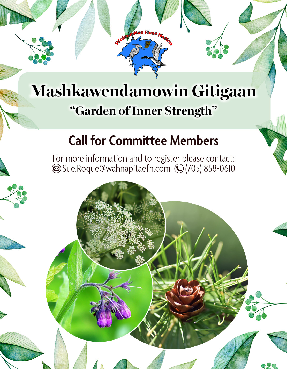 medicine garden committee callout